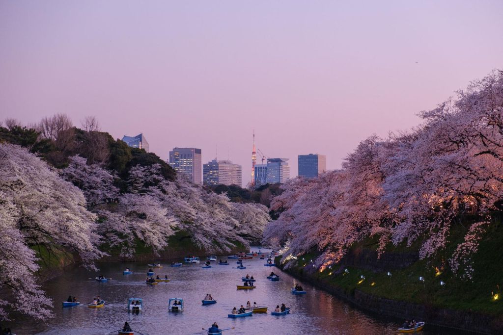 Photo Voyager à travers Tokyo avec des moyens de transports pratiques