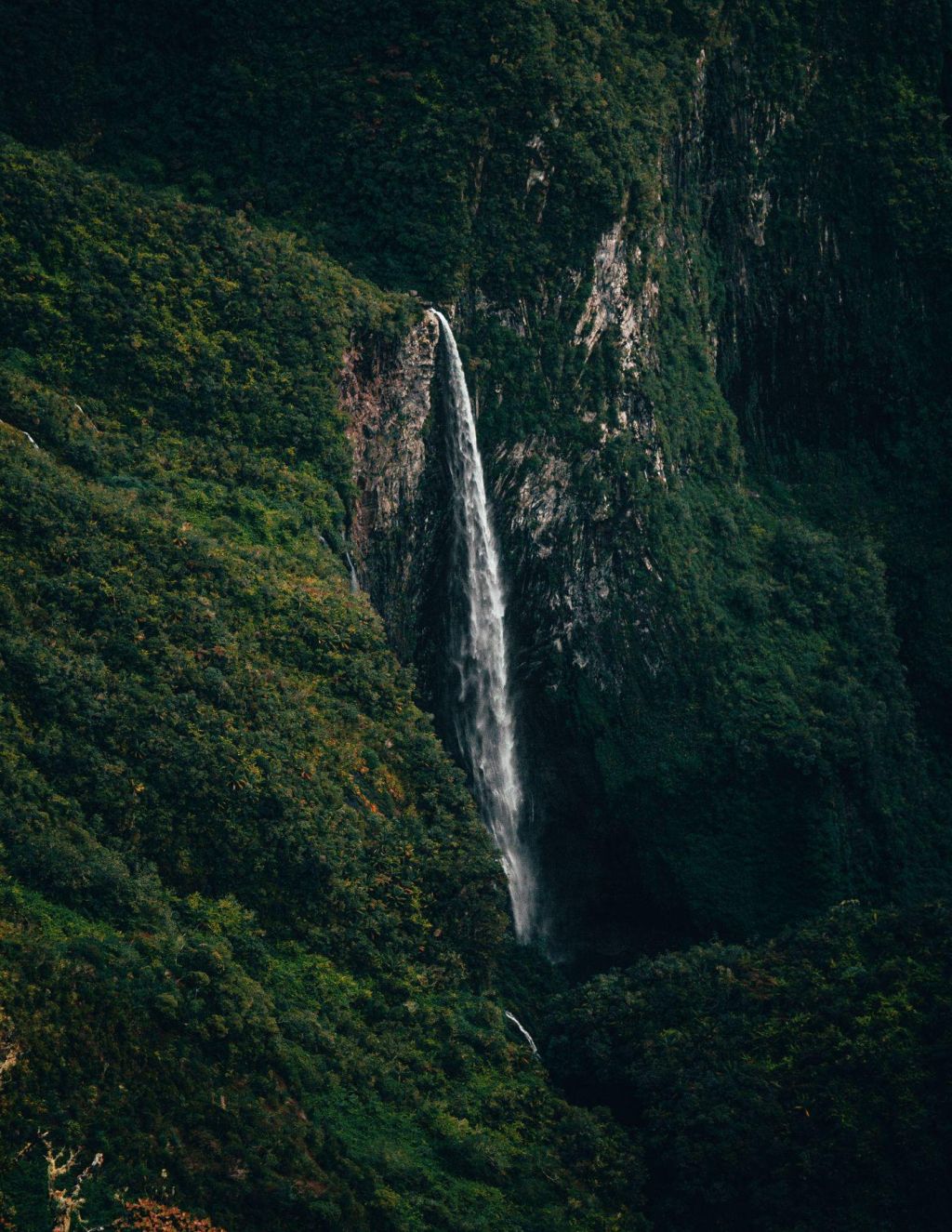 Photo Informations pratiques santé pour La Réunion