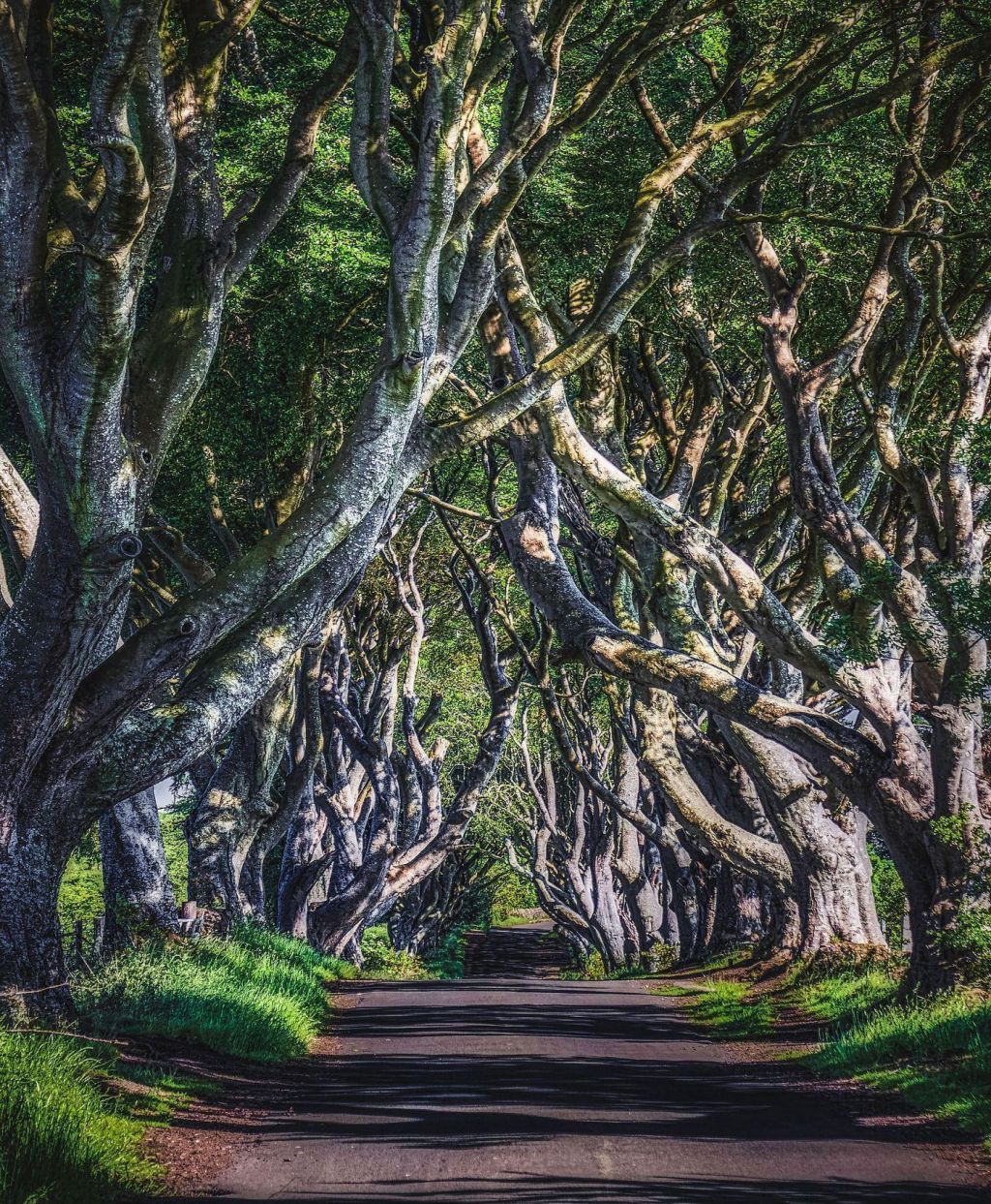 Photo Conseils pour trouver un hotel en irlande 