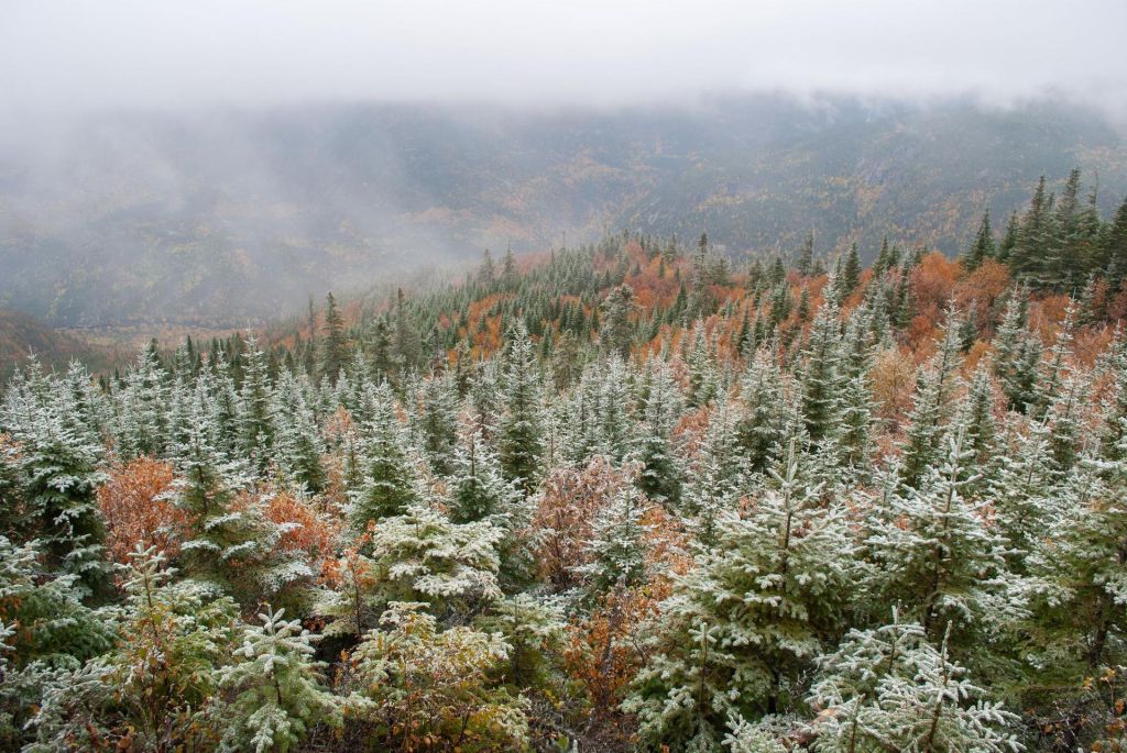 Photo Les meilleures adresses avec  spa Québec