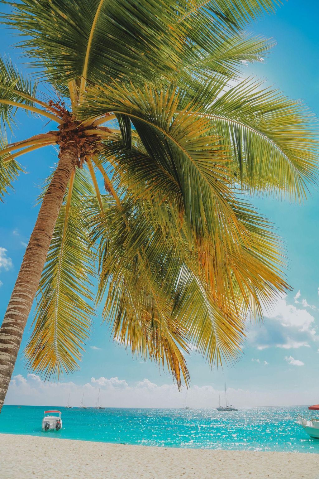 Photo Hotels et clubs en République Dominicaine. Faites le bon choix!