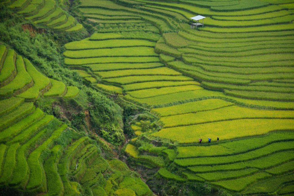 Photo Vietnam Vagabondages