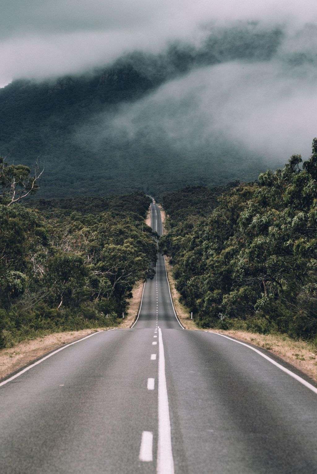 Photo Hotels et bons plans hébergements en Australie