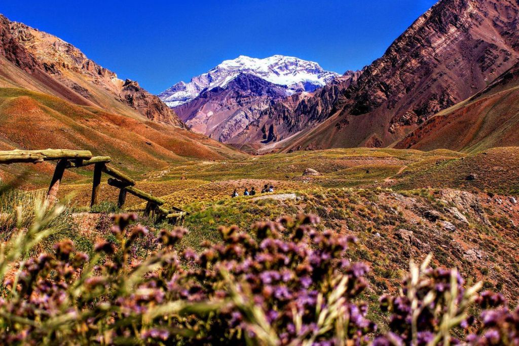 Photo Argentine au jour le jour
