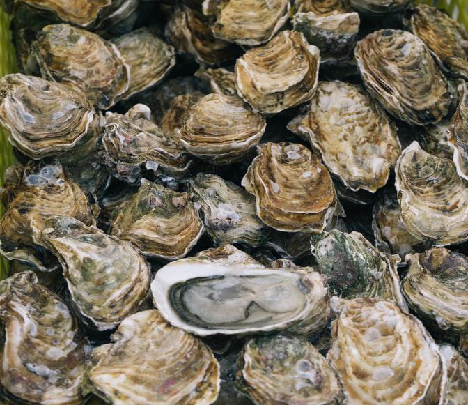 Photo Le goût à l'épreuve des bonnes saveurs du Morbihan