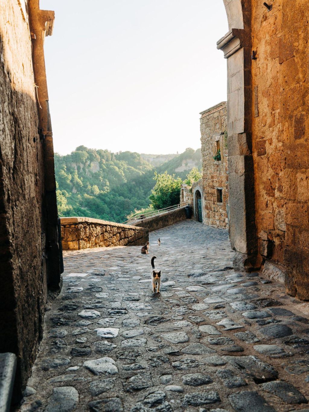 Photo Réserver un hôtel Lazio