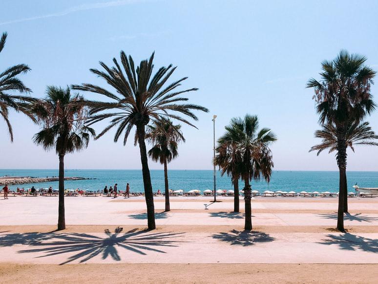 Photo Compagnies aériennes à Barcelone