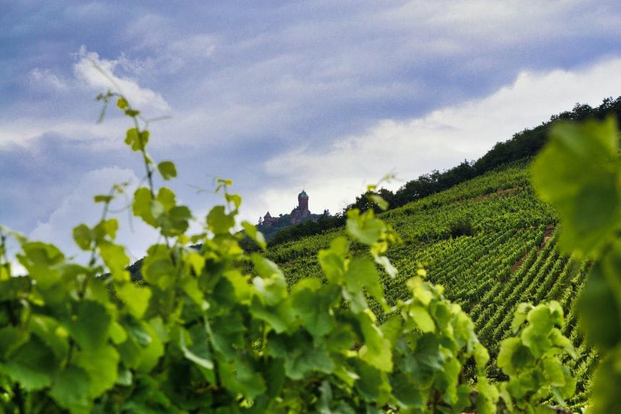 Photo Réserver un hotel de charme Alsace