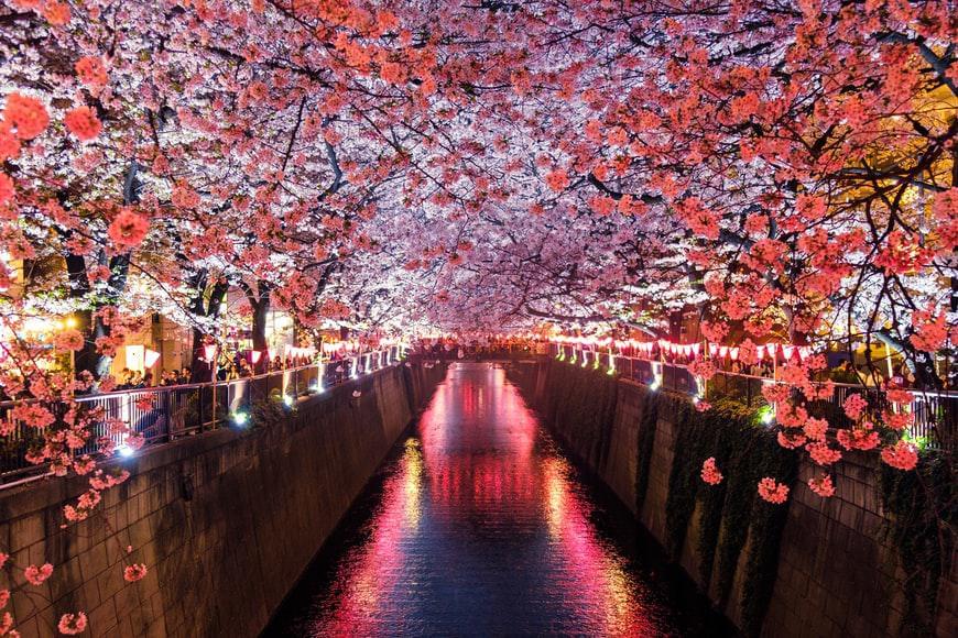 Photo Distance pour leJapon