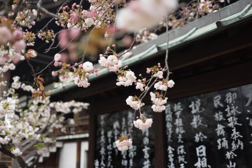 Photo Les meilleurs hotels avec spa Japon
