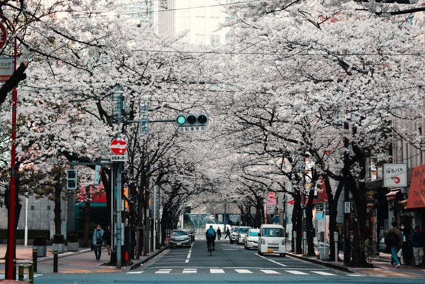 Photo Bonnes affaires  Japon