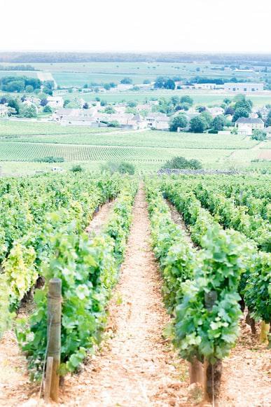Photo Compagnies aériennes en Bourgogne