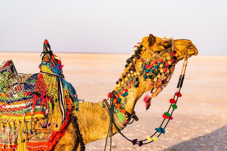 Photo Informations pratiques sur l'Inde