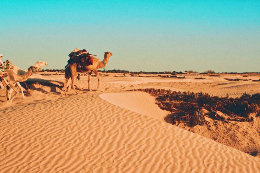 Photo Compagnies aériennes en Tunisie