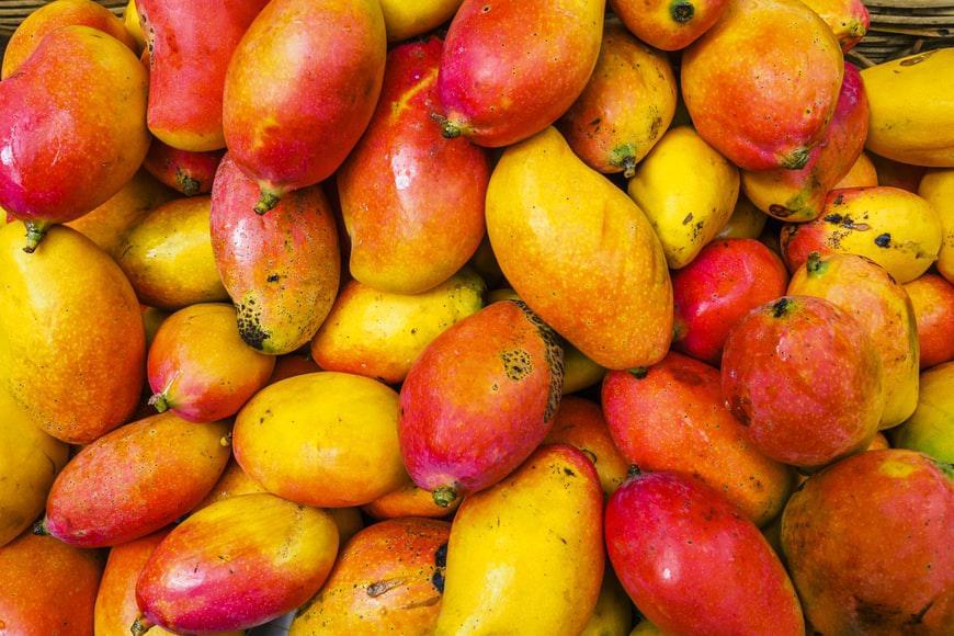 Photo Spécialités gastronomiques et culinaires Amérique du Sud