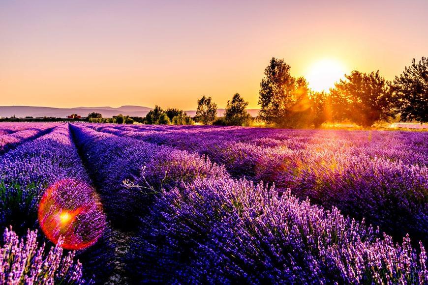 Photo Compagnies aériennes en Provence Alpes Cote d'Azur
