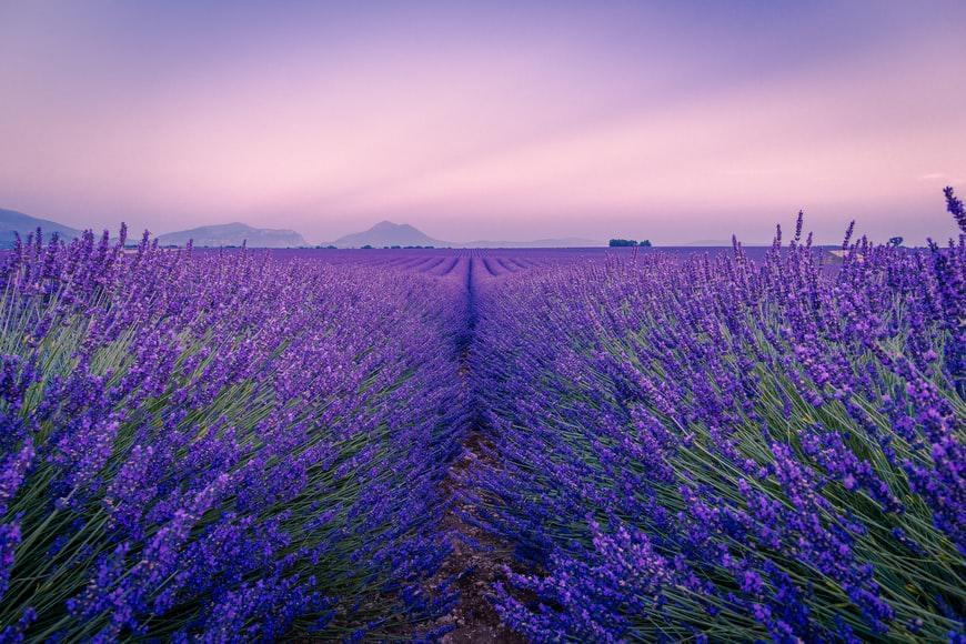 Photo Conseils pour trouver un hotel de charme Provence Alpes Côte d'Azur