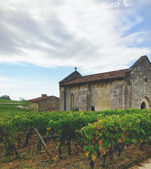 Photo Spécialités culinaires et gastronomie Saint-Emilion
