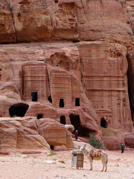 Photo Hotels à Petra: conseils pour faire le bon choix