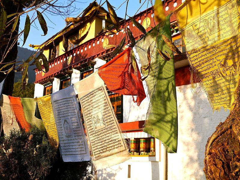Photo Avis de voyageurs : les hotels recommandés Dharamsala