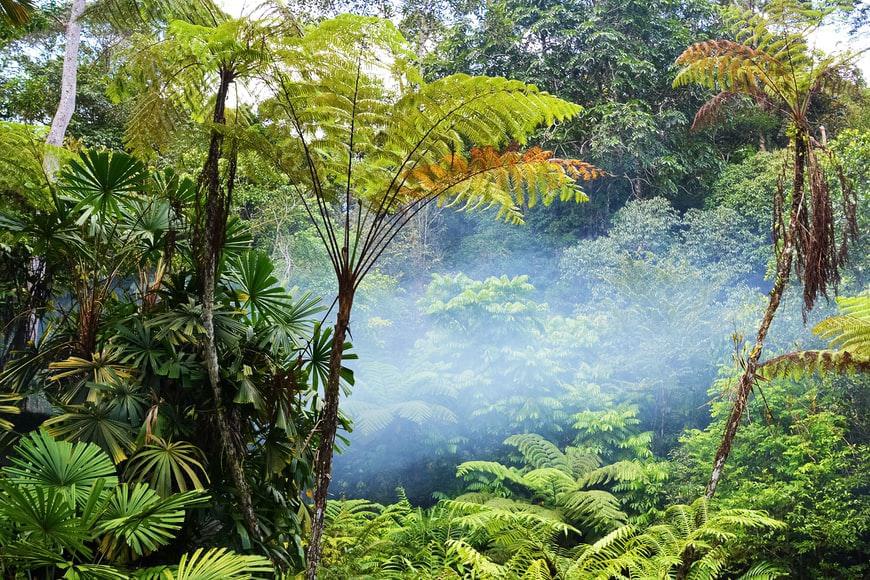 Photo Conseils pour trouver un hotel sur Ile-de-borneo