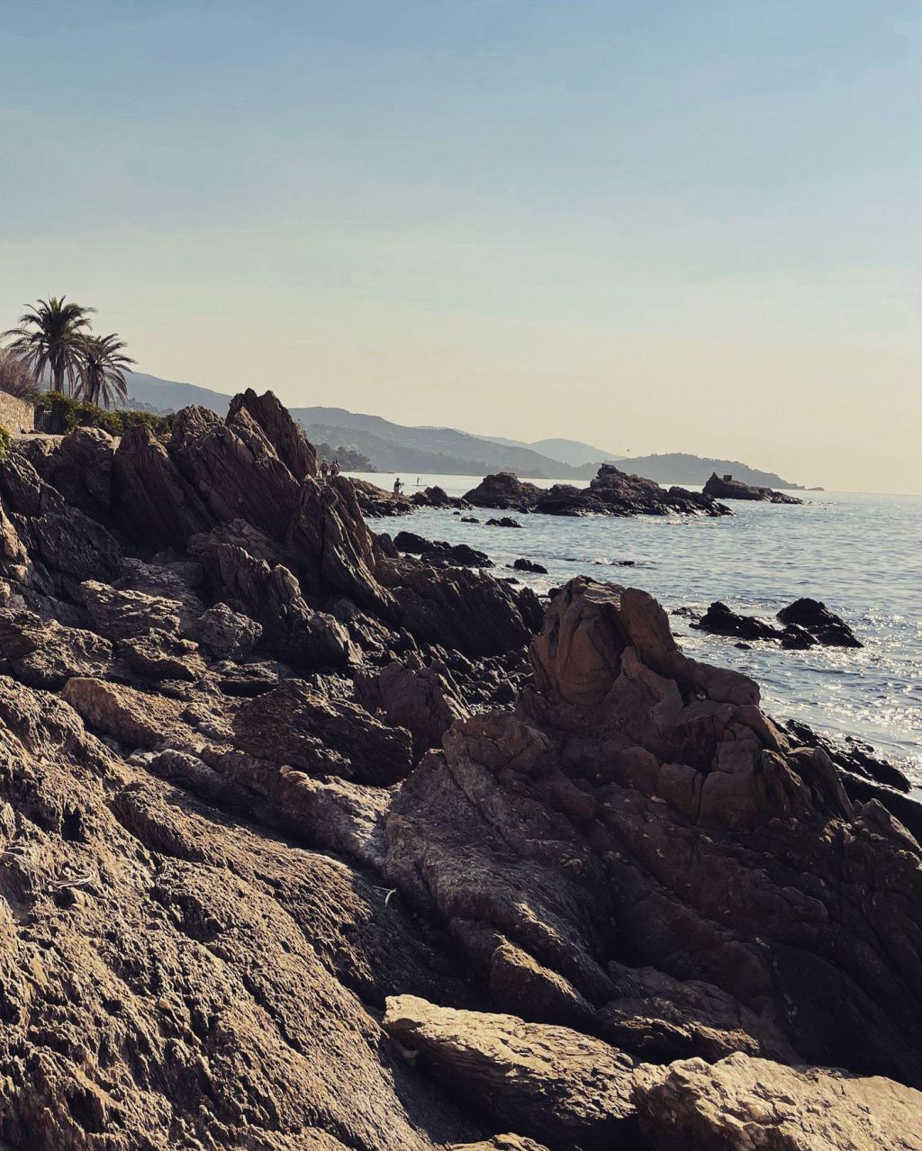 Photo Hotel au  Lavandou