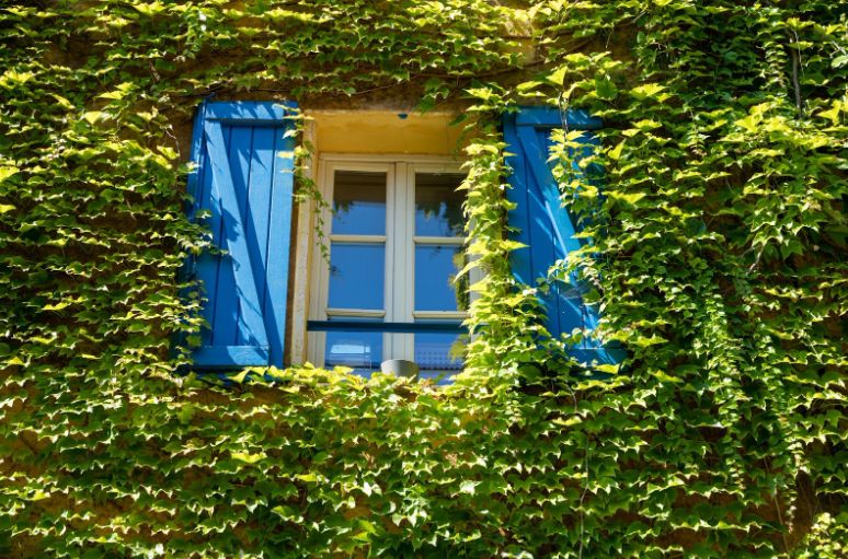 Photo Logement insolite PACA, pourquoi choisir cette solution ?