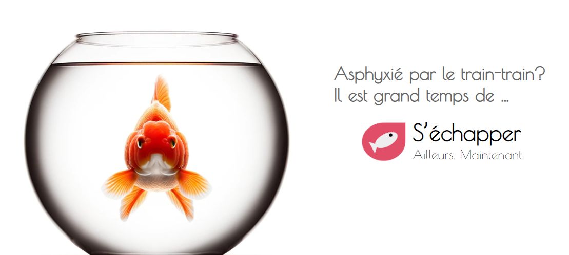 Photo S'échapper vers de Nouveaux Horizons avec Sechapper.com