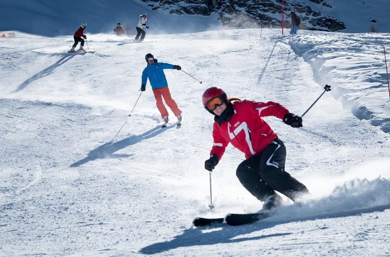 INSIGNE Ecole de Ski Française - CHAMOIS BRONZE INSIGNE Ecole de Ski Française - CHAMOIS BRONZE