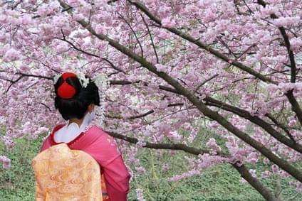 Photo Japon