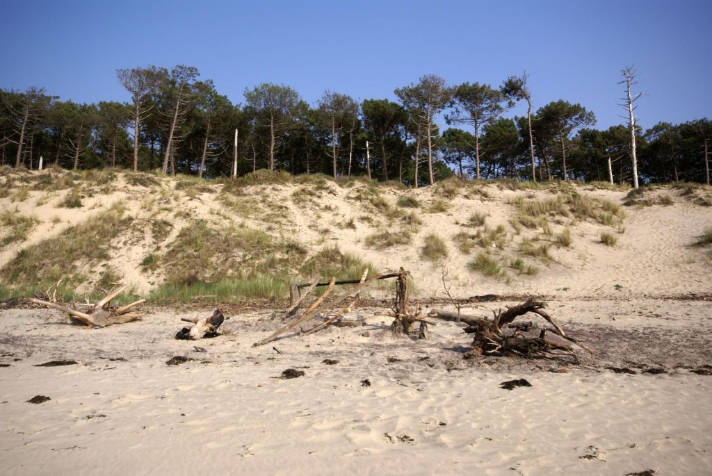 Biscarrosse