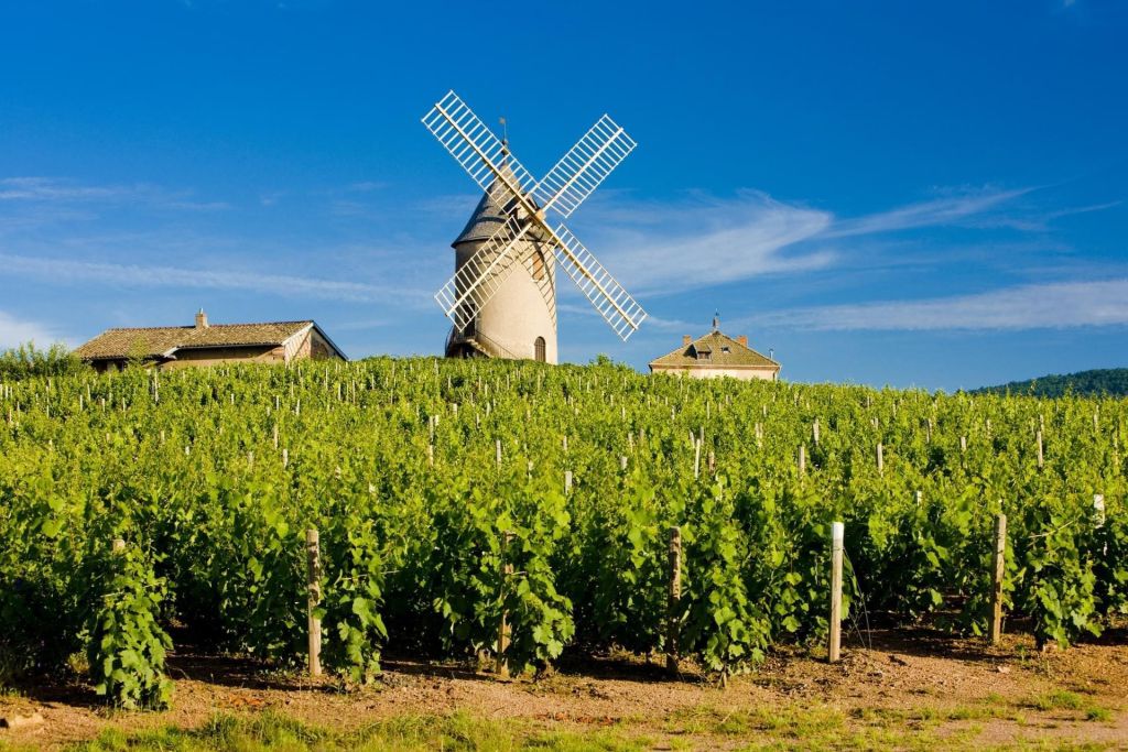 Bourgogne