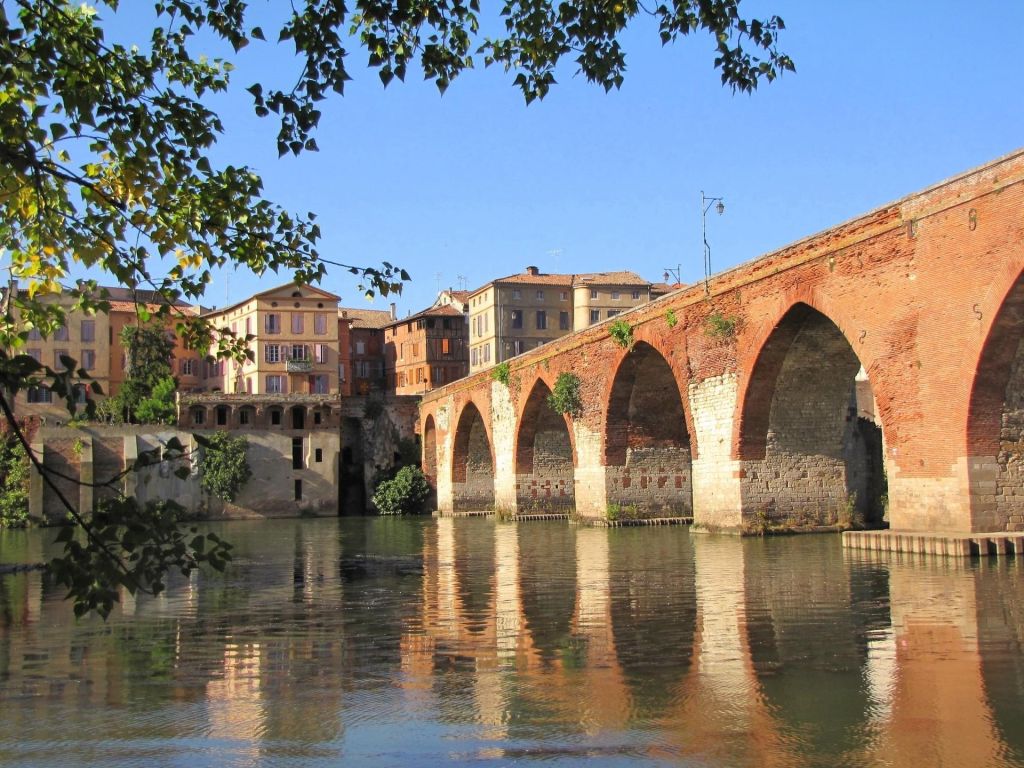 Albi