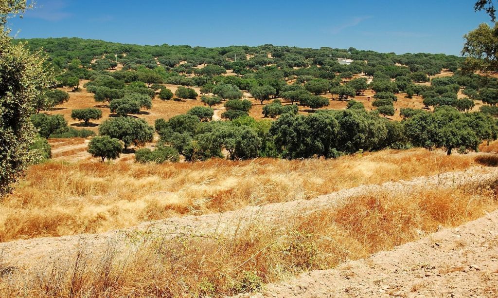 Découvrir lAlentejo