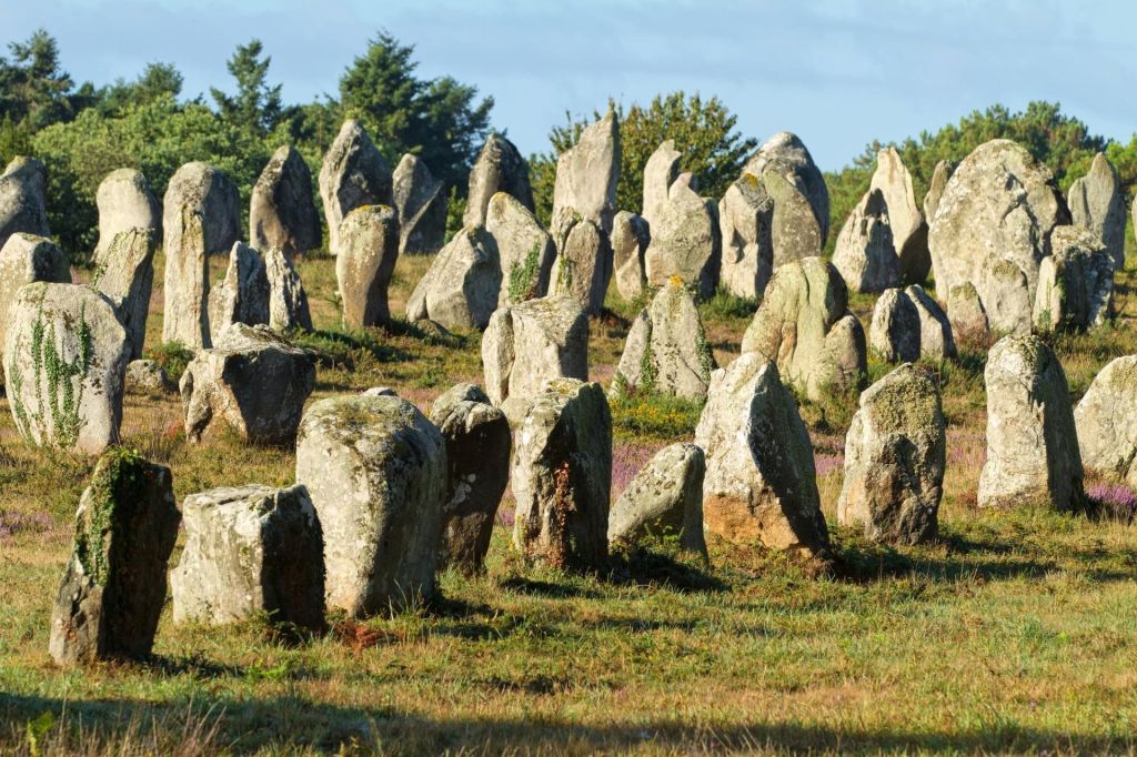 Découvrez les alignements de Carnac