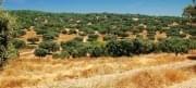 Photo Algarve