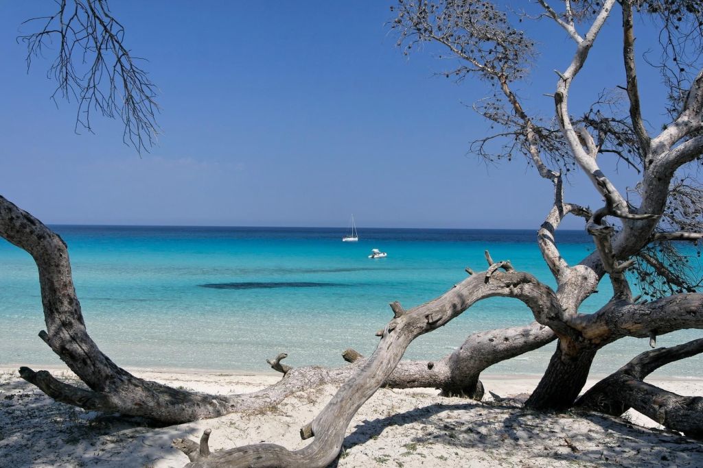 Corse