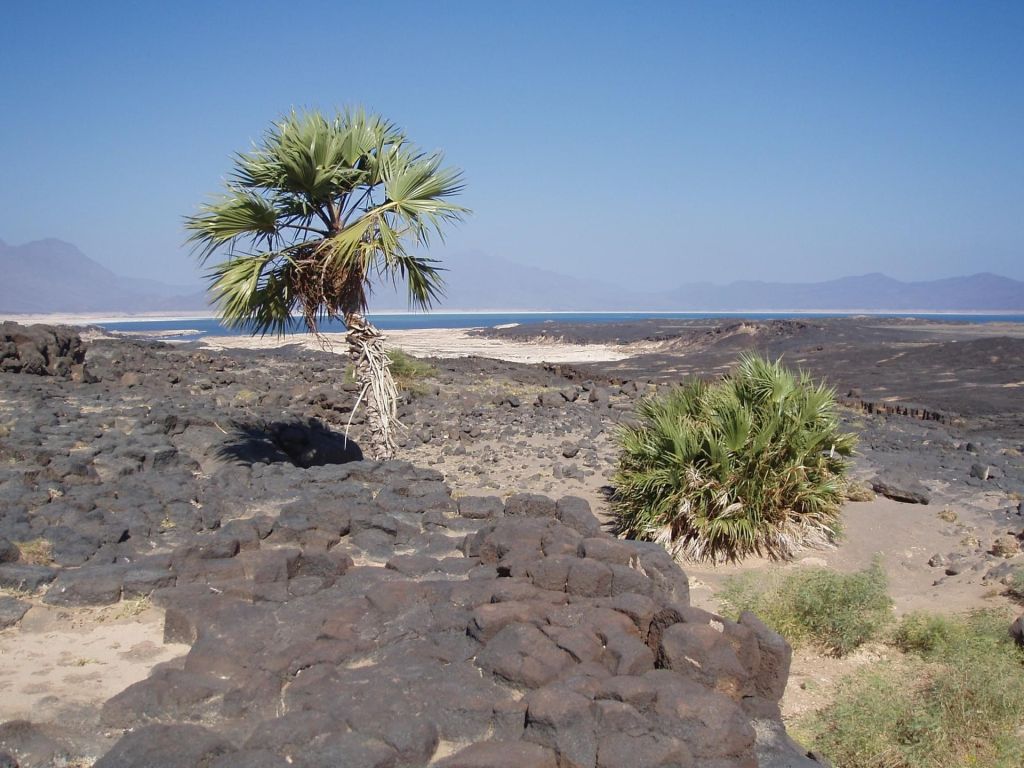 Djibouti