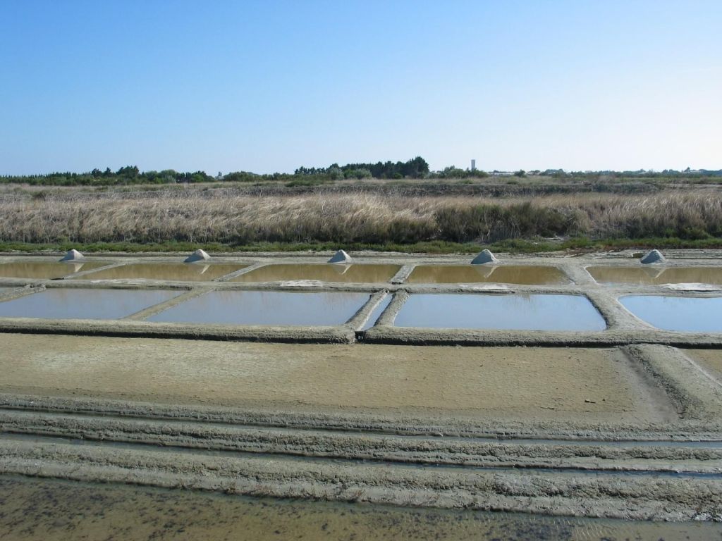 Marais Salant de lIle de Ré