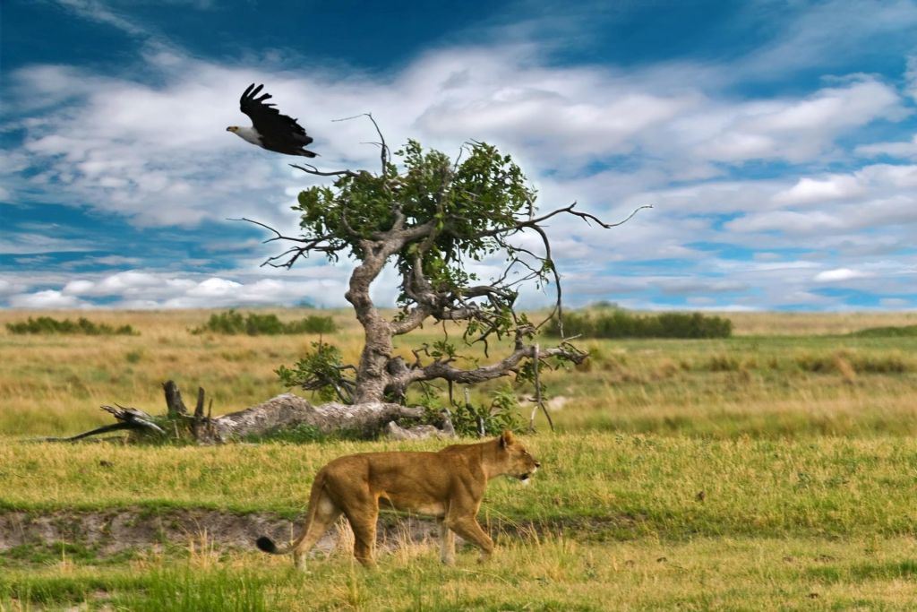 Kenya