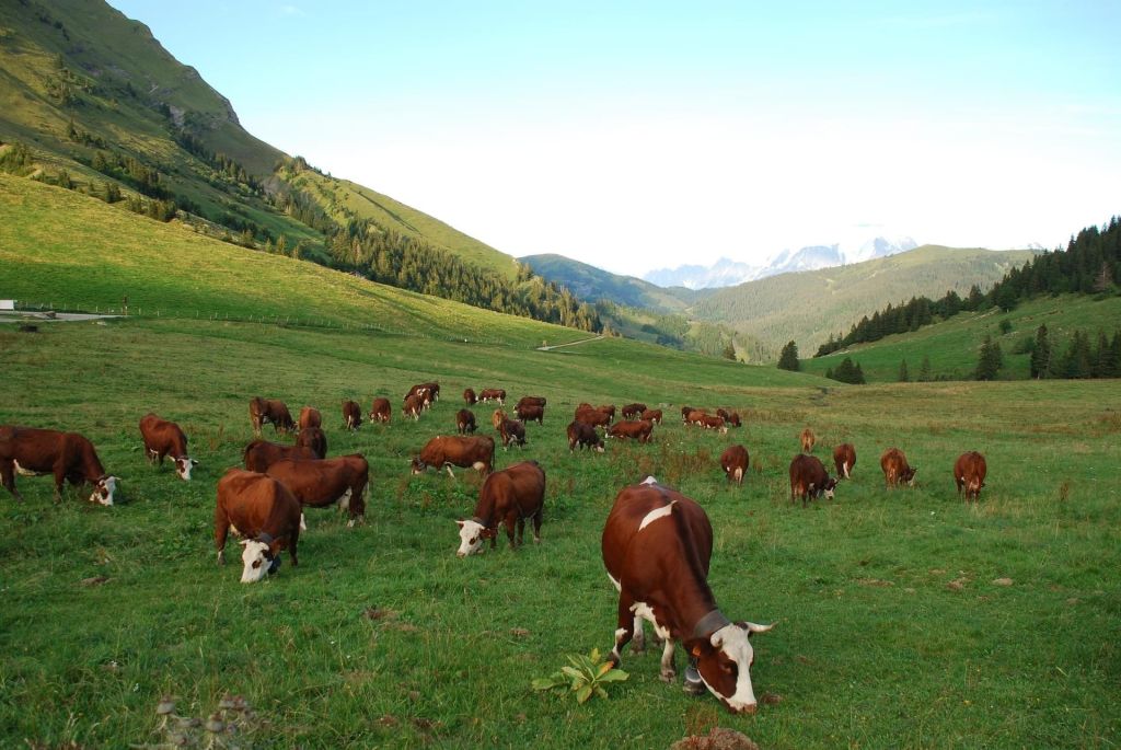 La Clusaz