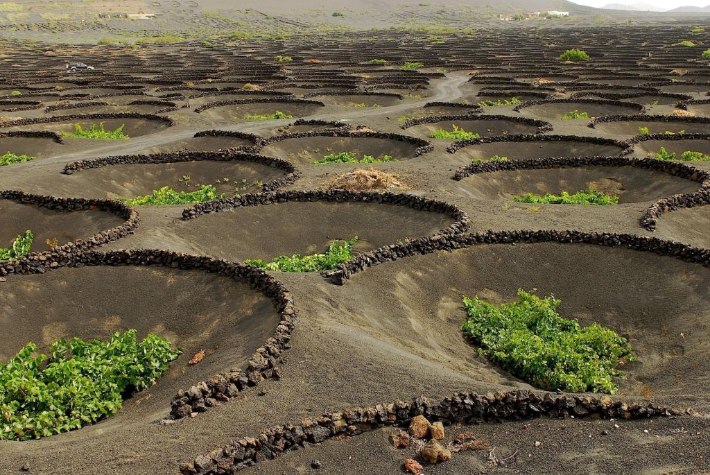Vacances à Lanzarote  découvrez le charme des Canaries