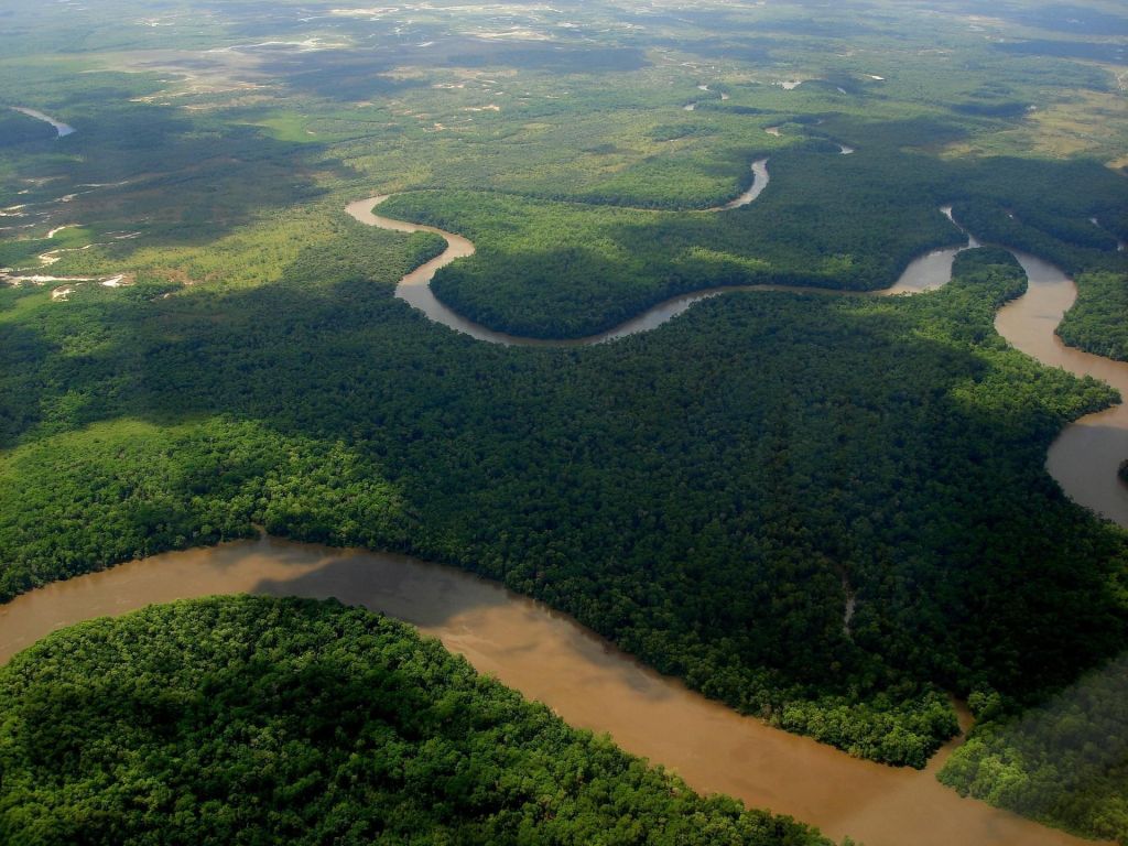 La Forêt Amazonienne