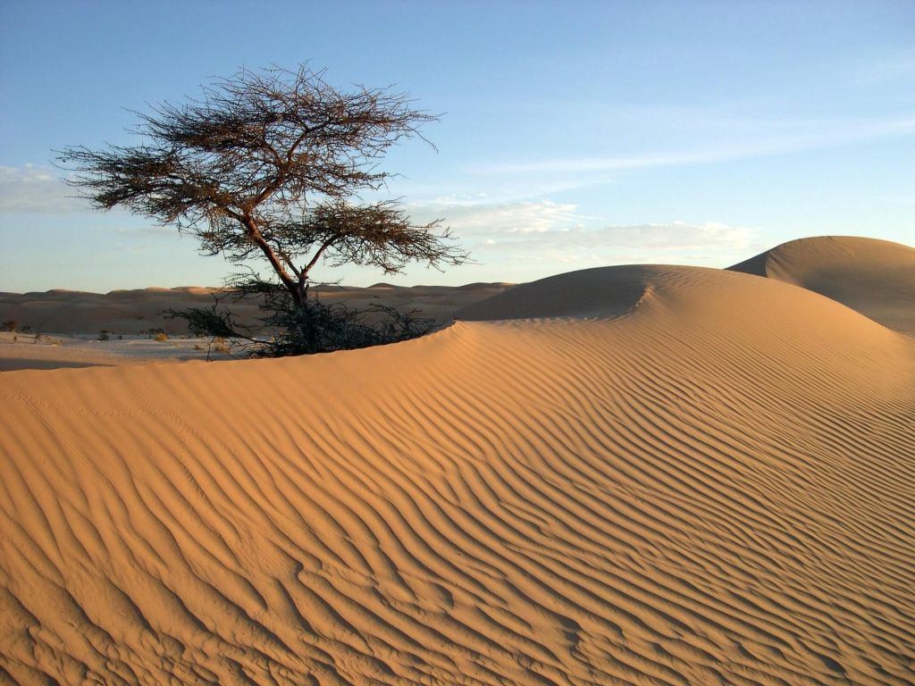 La Mauritanie