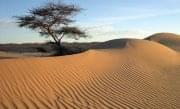 Photo Mauritanie