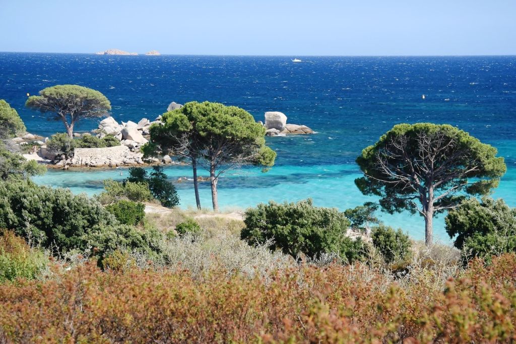 Vacances à PortoVecchio