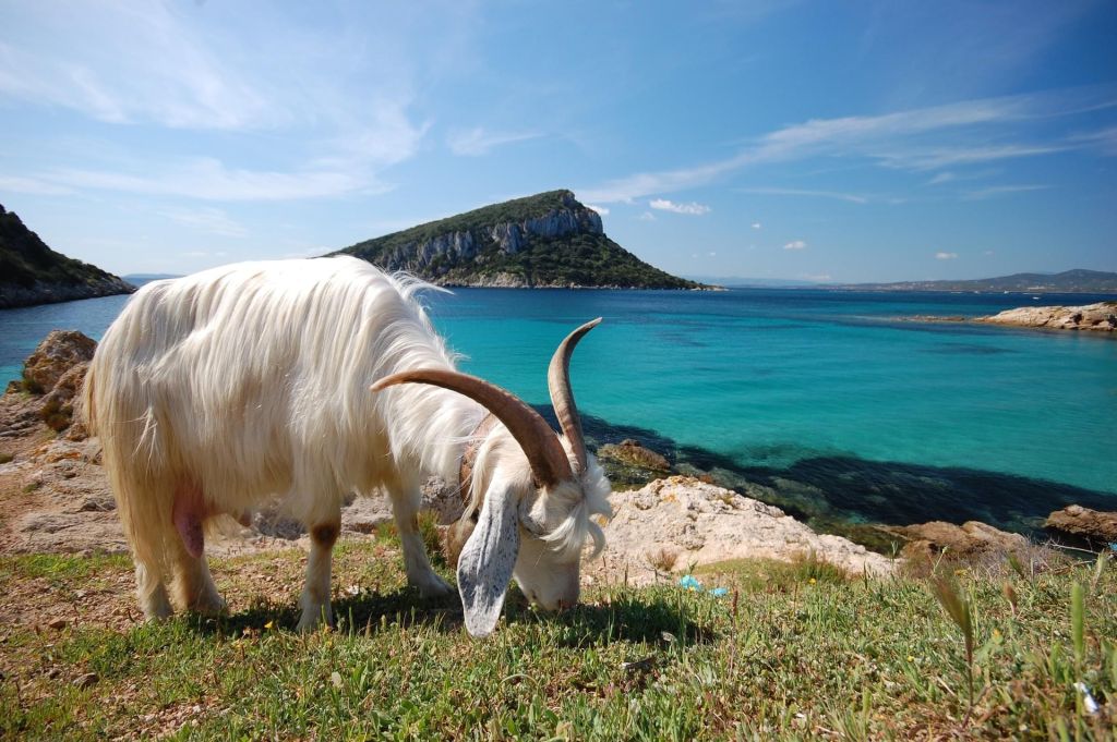 Se la couler douce en Sardaigne
