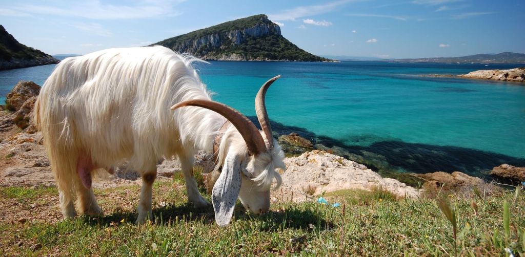 Sardaigne