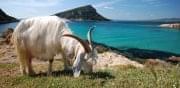 Photo Sardaigne