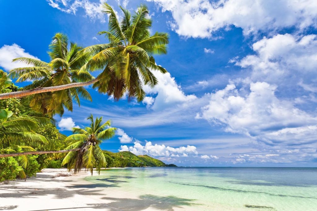 Plage des Seychelles